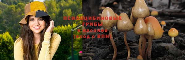 прущая мука Баксан