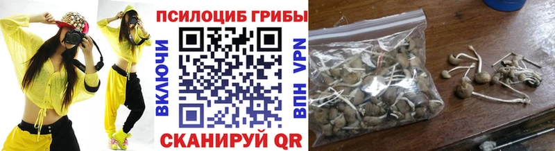 Псилоцибиновые грибы ЛСД  даркнет сайт  Нязепетровск 